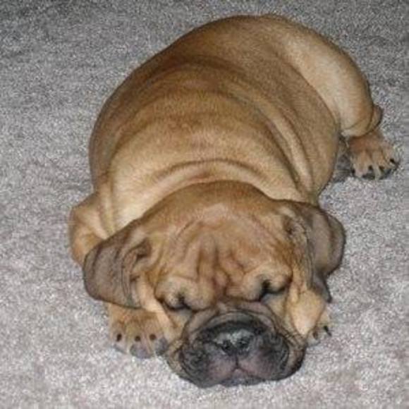 Meet your Posher, Nichole - Picture 1 of 1